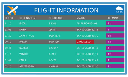 flight information